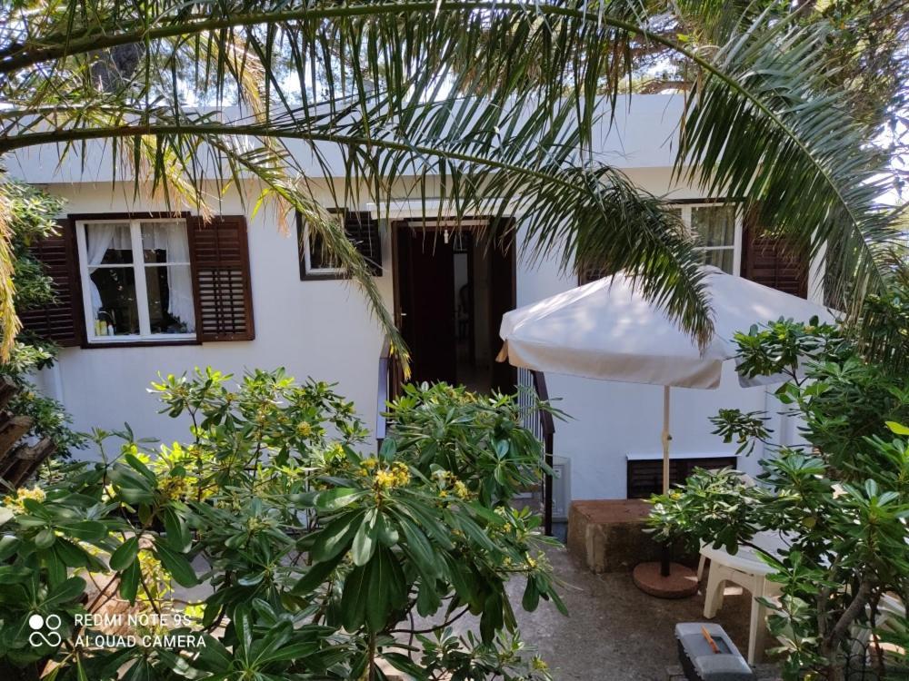 Apartment Botanicheskiy Sad Sutomore Zewnętrze zdjęcie